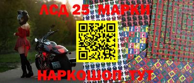 гашик Нальчик