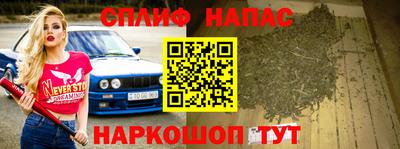 гашик Нальчик