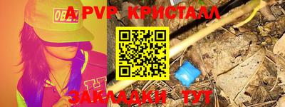 гашик Нальчик