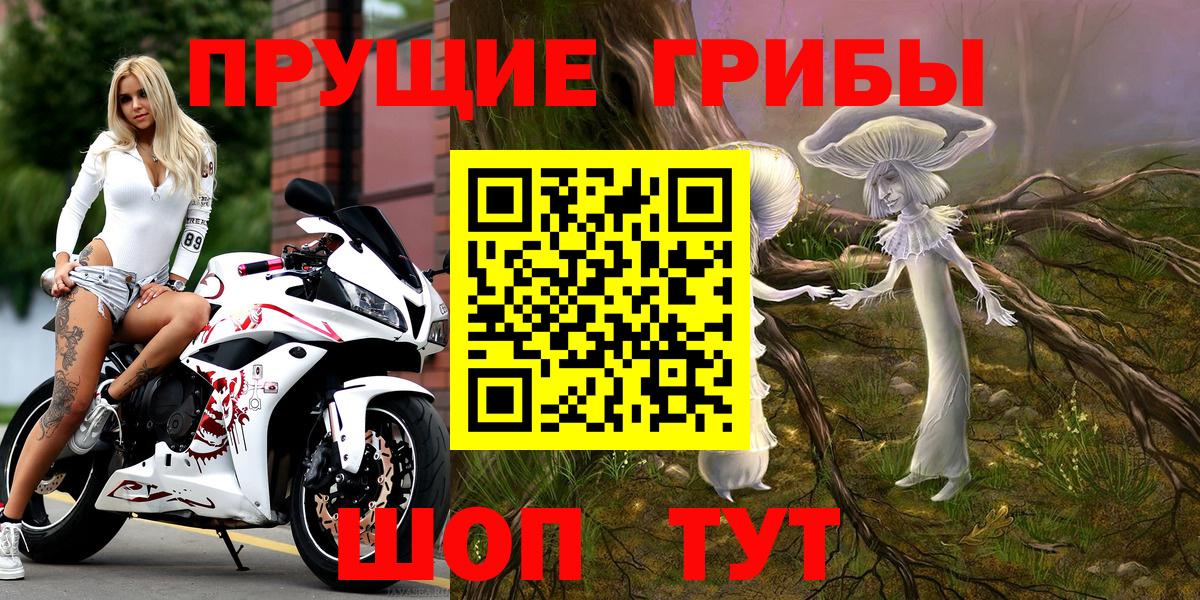 Урюпинск  Галлюциногенные грибы прущие грибы  Вход с VPN  Галлюциногенные грибы прущие грибы 